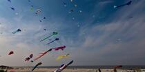 International Meetings of kites in Berck sur Mer [AT] © Philip Plisson / Plisson La Trinité / AA28662 - Photo Galleries - Non-nautical sports