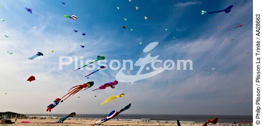 International Meetings of kites in Berck sur Mer [AT] - © Philip Plisson / Plisson La Trinité / AA28663 - Photo Galleries - Non-nautical sports
