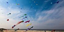 International Meetings of kites in Berck sur Mer [AT] © Philip Plisson / Plisson La Trinité / AA28663 - Photo Galleries - Nord-Pas-de-Calais
