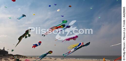 International Meetings of kites in Berck sur Mer [AT] - © Philip Plisson / Plisson La Trinité / AA28665 - Photo Galleries - Nord-Pas-de-Calais