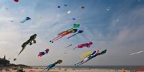 International Meetings of kites in Berck sur Mer [AT] © Philip Plisson / Plisson La Trinité / AA28665 - Photo Galleries - Nord-Pas-de-Calais