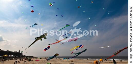 International Meetings of kites in Berck sur Mer [AT] - © Philip Plisson / Plisson La Trinité / AA28666 - Photo Galleries - Nord-Pas-de-Calais