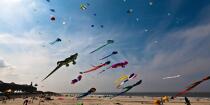 International Meetings of kites in Berck sur Mer [AT] © Philip Plisson / Plisson La Trinité / AA28666 - Photo Galleries - Berck