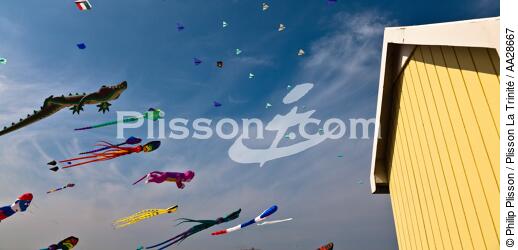 International Meetings of kites in Berck sur Mer [AT] - © Philip Plisson / Plisson La Trinité / AA28667 - Photo Galleries - Sport and Leisure