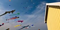 International Meetings of kites in Berck sur Mer [AT] © Philip Plisson / Plisson La Trinité / AA28667 - Photo Galleries - Town [62]