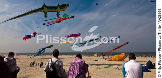 International Meetings of kites in Berck sur Mer [AT] - © Philip Plisson / Plisson La Trinité / AA28668 - Photo Galleries - Nord-Pas-de-Calais