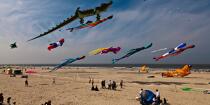 International Meetings of kites in Berck sur Mer [AT] © Philip Plisson / Plisson La Trinité / AA28669 - Photo Galleries - Nord-Pas-de-Calais
