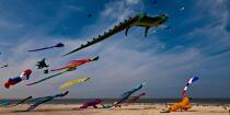 Rencontres Internationales de cerfs-volants à Berck sur Mer © Philip Plisson / Plisson La Trinité / AA28670 - Nos reportages photos - Sport et loisir