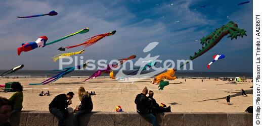 International Meetings of kites in Berck sur Mer [AT] - © Philip Plisson / Plisson La Trinité / AA28671 - Photo Galleries - Nord-Pas-de-Calais