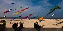 International Meetings of kites in Berck sur Mer [AT] © Philip Plisson / Plisson La Trinité / AA28671 - Photo Galleries - Berck