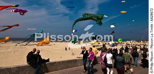 International Meetings of kites in Berck sur Mer [AT] - © Philip Plisson / Plisson La Trinité / AA28672 - Photo Galleries - Sport and Leisure