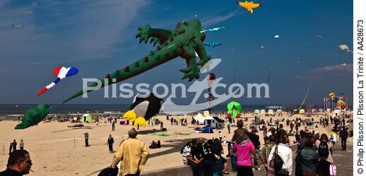 International Meetings of kites in Berck sur Mer [AT] - © Philip Plisson / Plisson La Trinité / AA28673 - Photo Galleries - Town [62]