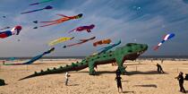 International Meetings of kites in Berck sur Mer [AT] © Philip Plisson / Plisson La Trinité / AA28674 - Photo Galleries - Nord-Pas-de-Calais