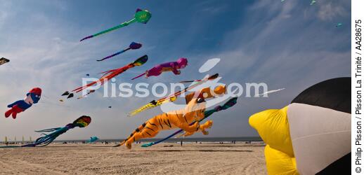 International Meetings of kites in Berck sur Mer [AT] - © Philip Plisson / Plisson La Trinité / AA28675 - Photo Galleries - Sport and Leisure