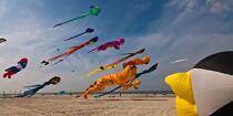 International Meetings of kites in Berck sur Mer [AT] © Philip Plisson / Plisson La Trinité / AA28675 - Photo Galleries - Town [62]