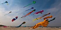 International Meetings of kites in Berck sur Mer [AT] © Philip Plisson / Plisson La Trinité / AA28676 - Photo Galleries - Non-nautical sports