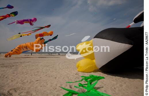 International Meetings of kites in Berck sur Mer [AT] - © Philip Plisson / Plisson La Trinité / AA28677 - Photo Galleries - Berck