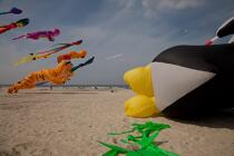 International Meetings of kites in Berck sur Mer [AT] © Philip Plisson / Plisson La Trinité / AA28677 - Photo Galleries - Framing