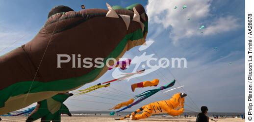 International Meetings of kites in Berck sur Mer [AT] - © Philip Plisson / Plisson La Trinité / AA28678 - Photo Galleries - Nord-Pas-de-Calais