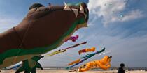 International Meetings of kites in Berck sur Mer [AT] © Philip Plisson / Plisson La Trinité / AA28678 - Photo Galleries - Pas de Calais