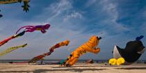 International Meetings of kites in Berck sur Mer [AT] © Philip Plisson / Plisson La Trinité / AA28679 - Photo Galleries - Non-nautical sports