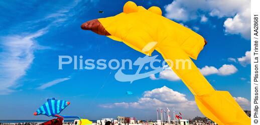 International Meetings of kites in Berck sur Mer [AT] - © Philip Plisson / Plisson La Trinité / AA28681 - Photo Galleries - Pas de Calais