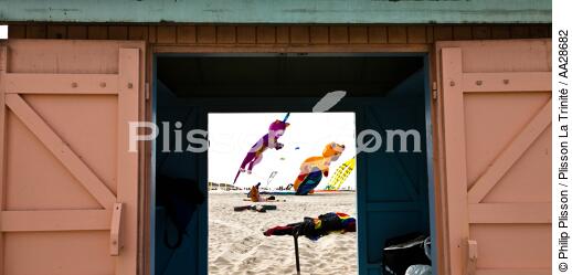 Rencontres Internationales de cerfs-volants à Berck sur Mer - © Philip Plisson / Plisson La Trinité / AA28682 - Nos reportages photos - Ville [62]