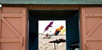 Rencontres Internationales de cerfs-volants à Berck sur Mer © Philip Plisson / Plisson La Trinité / AA28682 - Nos reportages photos - Sport et loisir