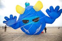 International Meetings of kites in Berck sur Mer [AT] © Philip Plisson / Plisson La Trinité / AA28683 - Photo Galleries - Town [62]