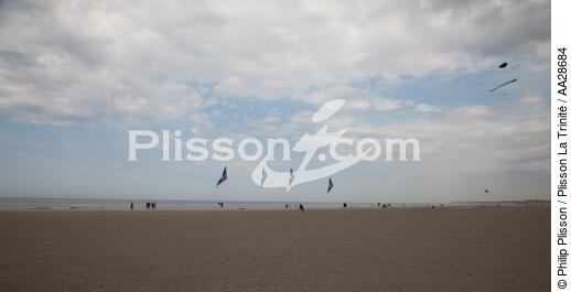 International Meetings of kites in Berck sur Mer [AT] - © Philip Plisson / Plisson La Trinité / AA28684 - Photo Galleries - Town [62]