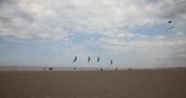 International Meetings of kites in Berck sur Mer [AT] © Philip Plisson / Plisson La Trinité / AA28684 - Photo Galleries - Pas de Calais