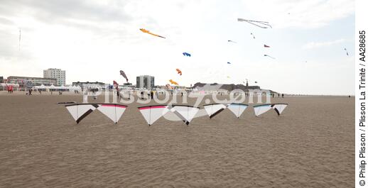 International Meetings of kites in Berck sur Mer [AT] - © Philip Plisson / Plisson La Trinité / AA28685 - Photo Galleries - Framing