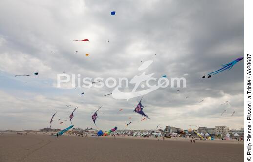 International Meetings of kites in Berck sur Mer [AT] - © Philip Plisson / Plisson La Trinité / AA28687 - Photo Galleries - Kite