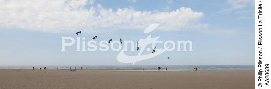 International Meetings of kites in Berck sur Mer [AT] - © Philip Plisson / Plisson La Trinité / AA28689 - Photo Galleries - Nord-Pas-de-Calais