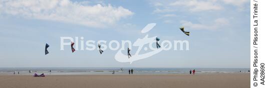 International Meetings of kites in Berck sur Mer [AT] - © Philip Plisson / Plisson La Trinité / AA28690 - Photo Galleries - Town [62]