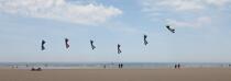 International Meetings of kites in Berck sur Mer [AT] © Philip Plisson / Plisson La Trinité / AA28690 - Photo Galleries - Sport and Leisure