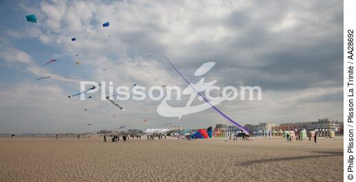 International Meetings of kites in Berck sur Mer [AT] - © Philip Plisson / Plisson La Trinité / AA28692 - Photo Galleries - Berck