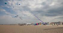 International Meetings of kites in Berck sur Mer [AT] © Philip Plisson / Plisson La Trinité / AA28692 - Photo Galleries - Pas de Calais