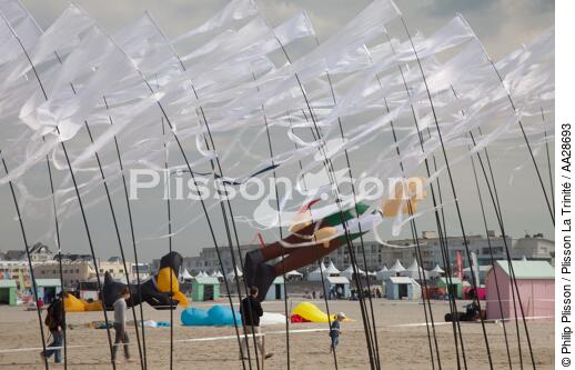 International Meetings of kites in Berck sur Mer [AT] - © Philip Plisson / Plisson La Trinité / AA28693 - Photo Galleries - Framing