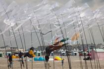 International Meetings of kites in Berck sur Mer [AT] © Philip Plisson / Plisson La Trinité / AA28693 - Photo Galleries - Berck