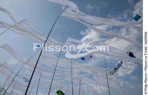 International Meetings of kites in Berck sur Mer [AT] - © Philip Plisson / Plisson La Trinité / AA28694 - Photo Galleries - Kite
