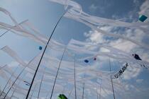 International Meetings of kites in Berck sur Mer [AT] © Philip Plisson / Plisson La Trinité / AA28694 - Photo Galleries - Non-nautical sports