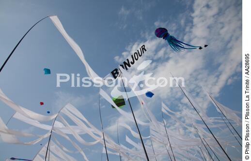 International Meetings of kites in Berck sur Mer [AT] - © Philip Plisson / Plisson La Trinité / AA28695 - Photo Galleries - Kite