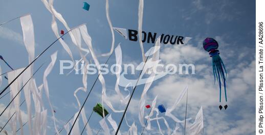 International Meetings of kites in Berck sur Mer [AT] - © Philip Plisson / Plisson La Trinité / AA28696 - Photo Galleries - Nord-Pas-de-Calais