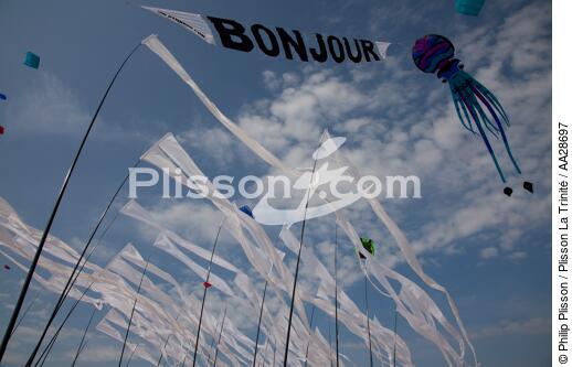 International Meetings of kites in Berck sur Mer [AT] - © Philip Plisson / Plisson La Trinité / AA28697 - Photo Galleries - Kite