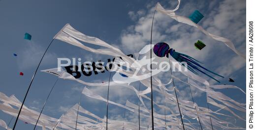 International Meetings of kites in Berck sur Mer [AT] - © Philip Plisson / Plisson La Trinité / AA28698 - Photo Galleries - Sport and Leisure
