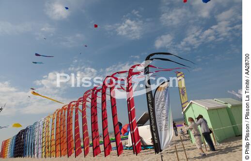 International Meetings of kites in Berck sur Mer [AT] - © Philip Plisson / Plisson La Trinité / AA28700 - Photo Galleries - Non-nautical sports