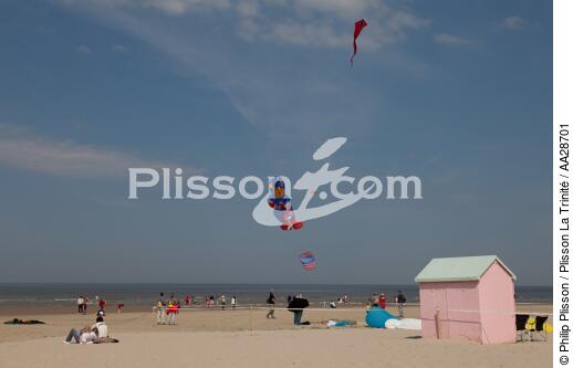 International Meetings of kites in Berck sur Mer [AT] - © Philip Plisson / Plisson La Trinité / AA28701 - Photo Galleries - Town [62]