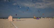 International Meetings of kites in Berck sur Mer [AT] © Philip Plisson / Plisson La Trinité / AA28702 - Photo Galleries - Non-nautical sports