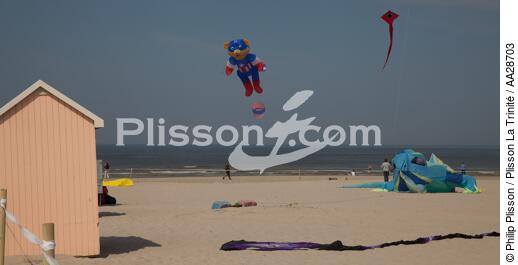 International Meetings of kites in Berck sur Mer [AT] - © Philip Plisson / Plisson La Trinité / AA28703 - Photo Galleries - Berck